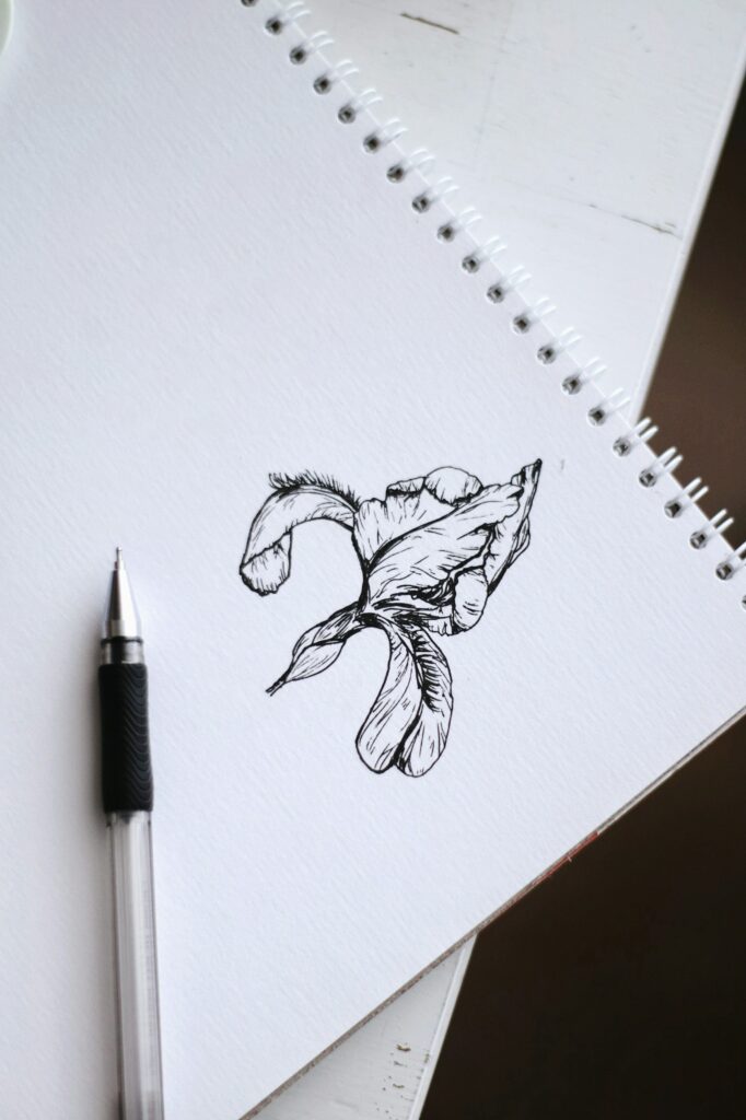 Cómo digitalizar tus bocetos