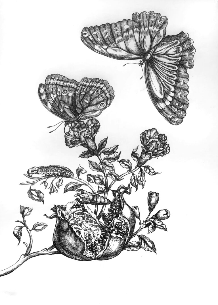 Dibujo para tatuadores: ejercicios para mejorar tu técnica